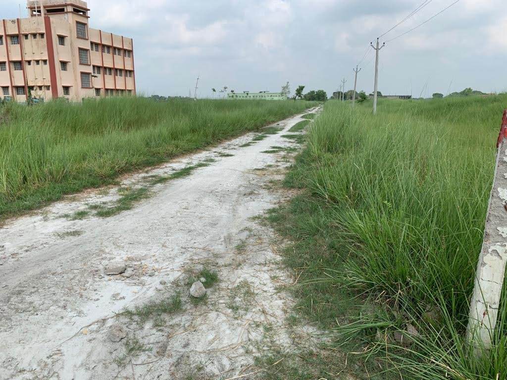Mithila Greens
