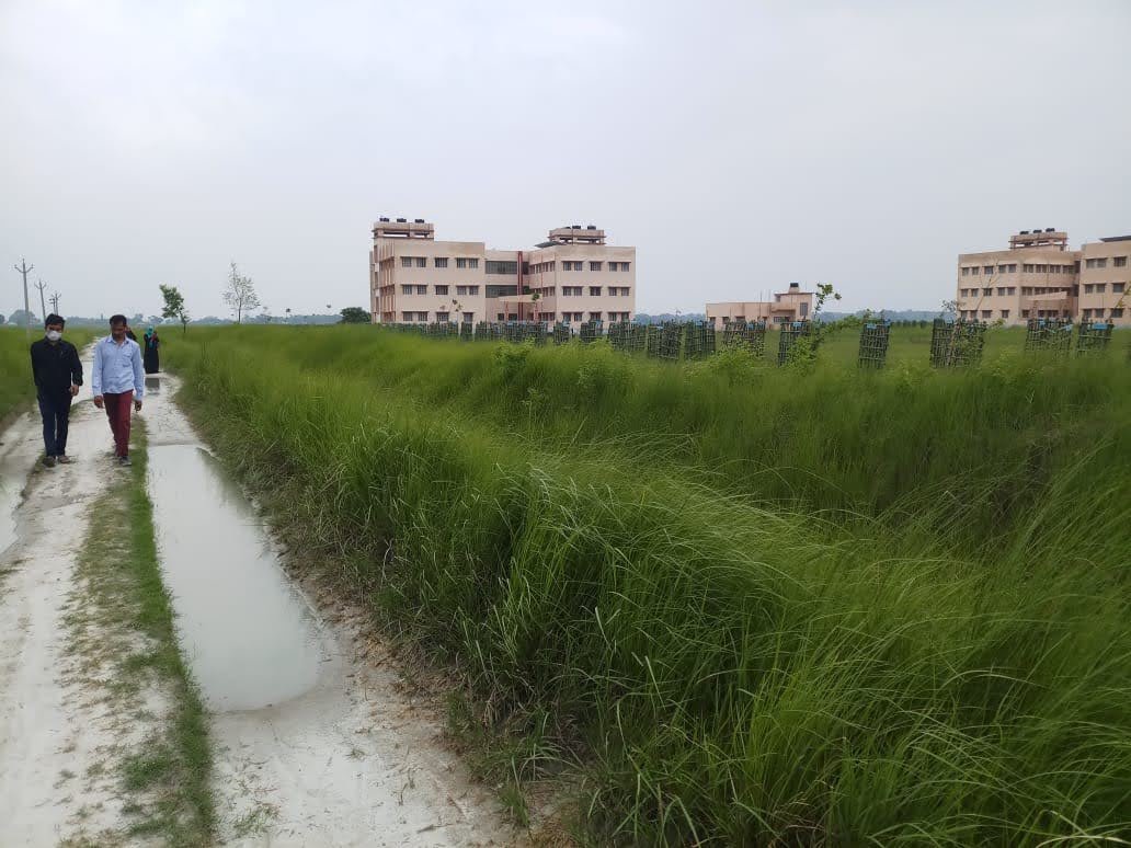 Mithila Greens